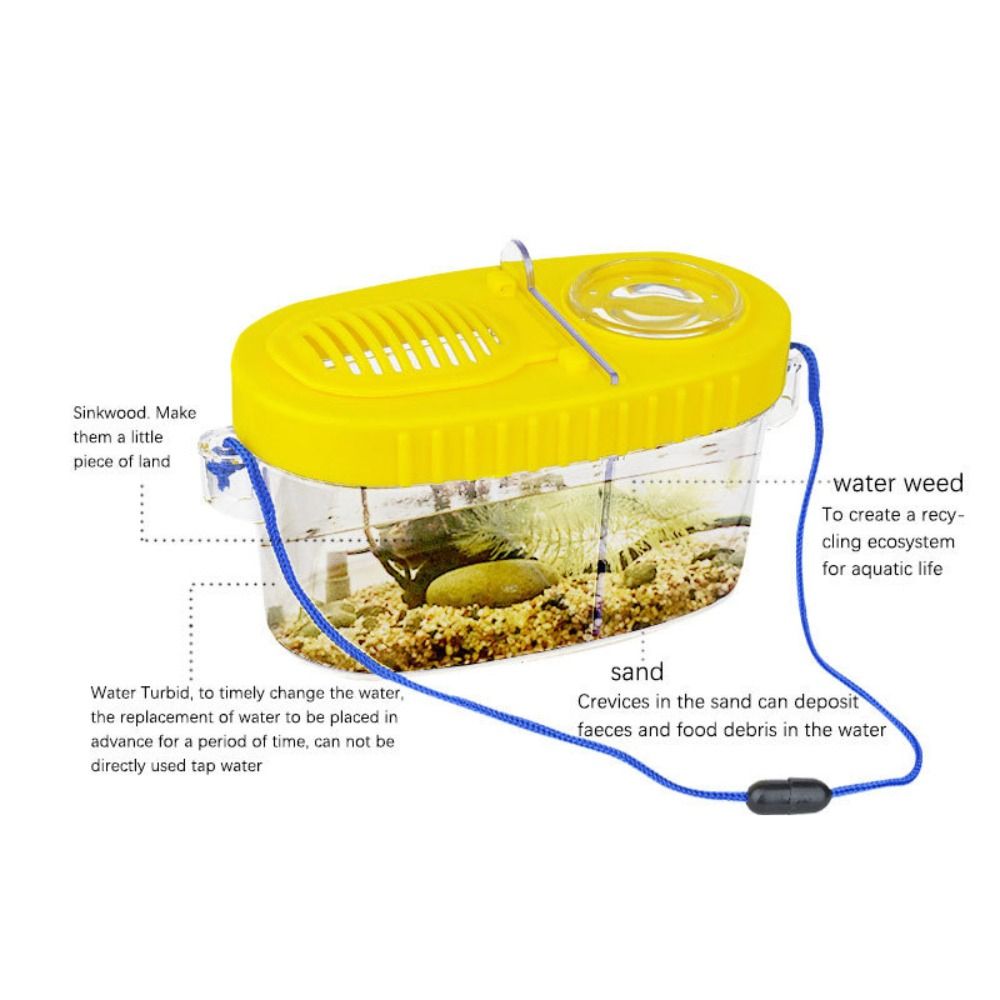 Outdoor Camping Kit - 虫眼鏡付き屋外自然探検ツール透明エクスプローラーキットキャンプキット＆虫捕りキット耐摩耗性